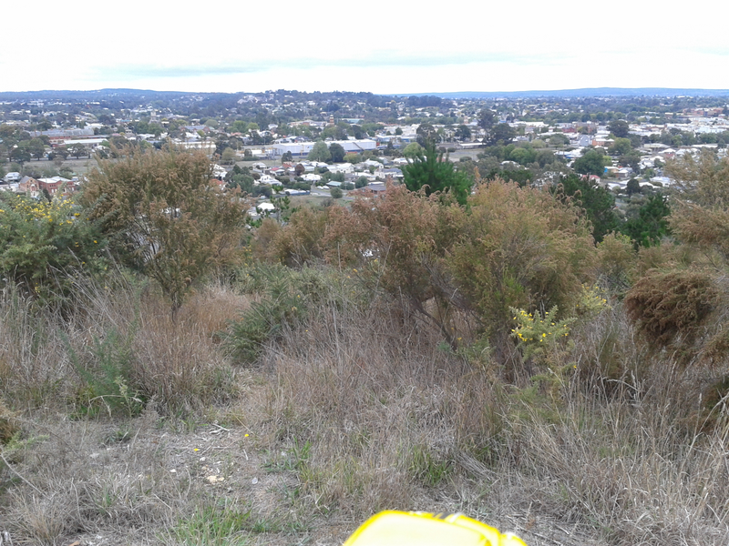 Illustration for article titled TTB on tour around Victoria's Western District.